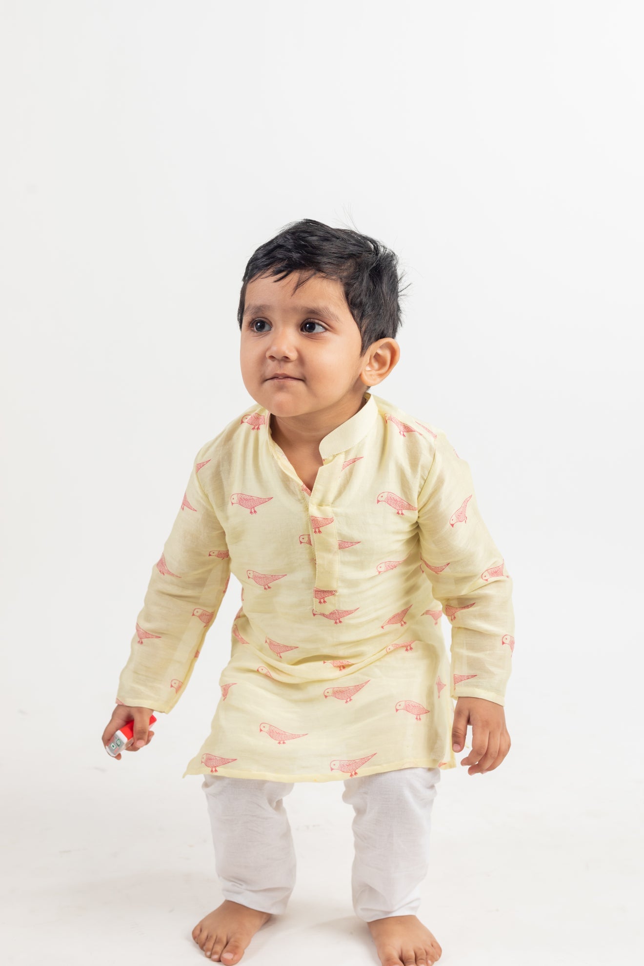 Full Sleeve Bird Print Kurta - CiceroniMr. Brat