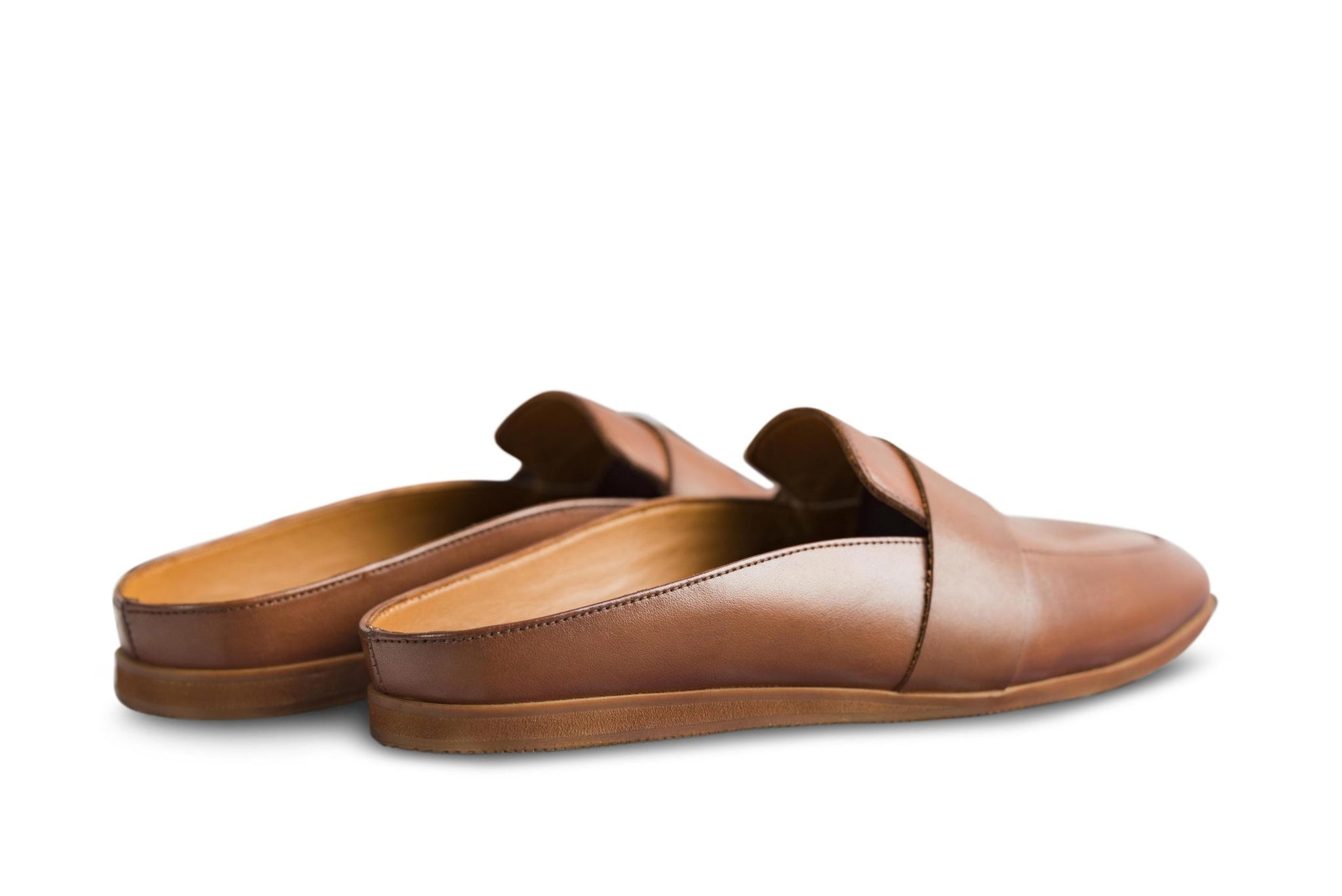 Hoffler Marrone - Ciceronidmodot