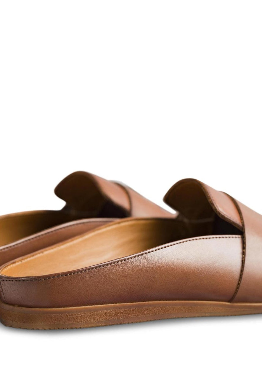 Hoffler Marrone - Ciceronidmodot