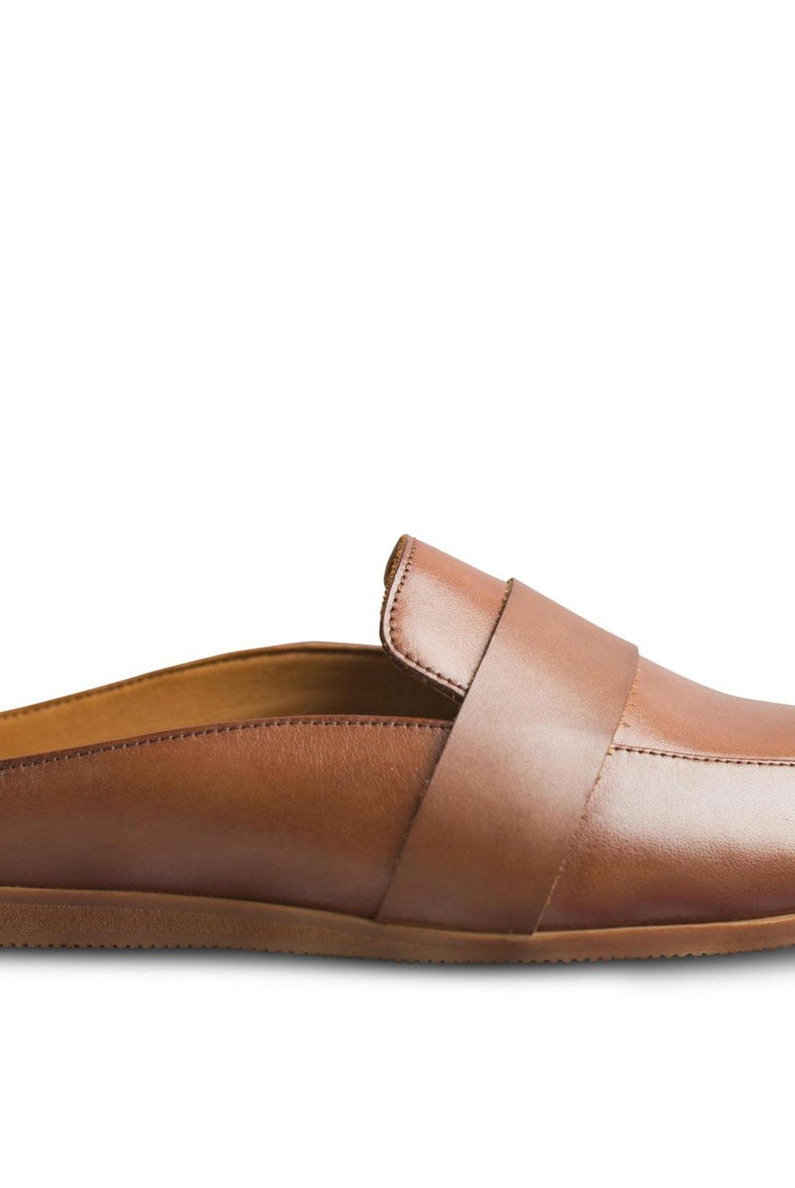 Hoffler Marrone - Ciceronidmodot