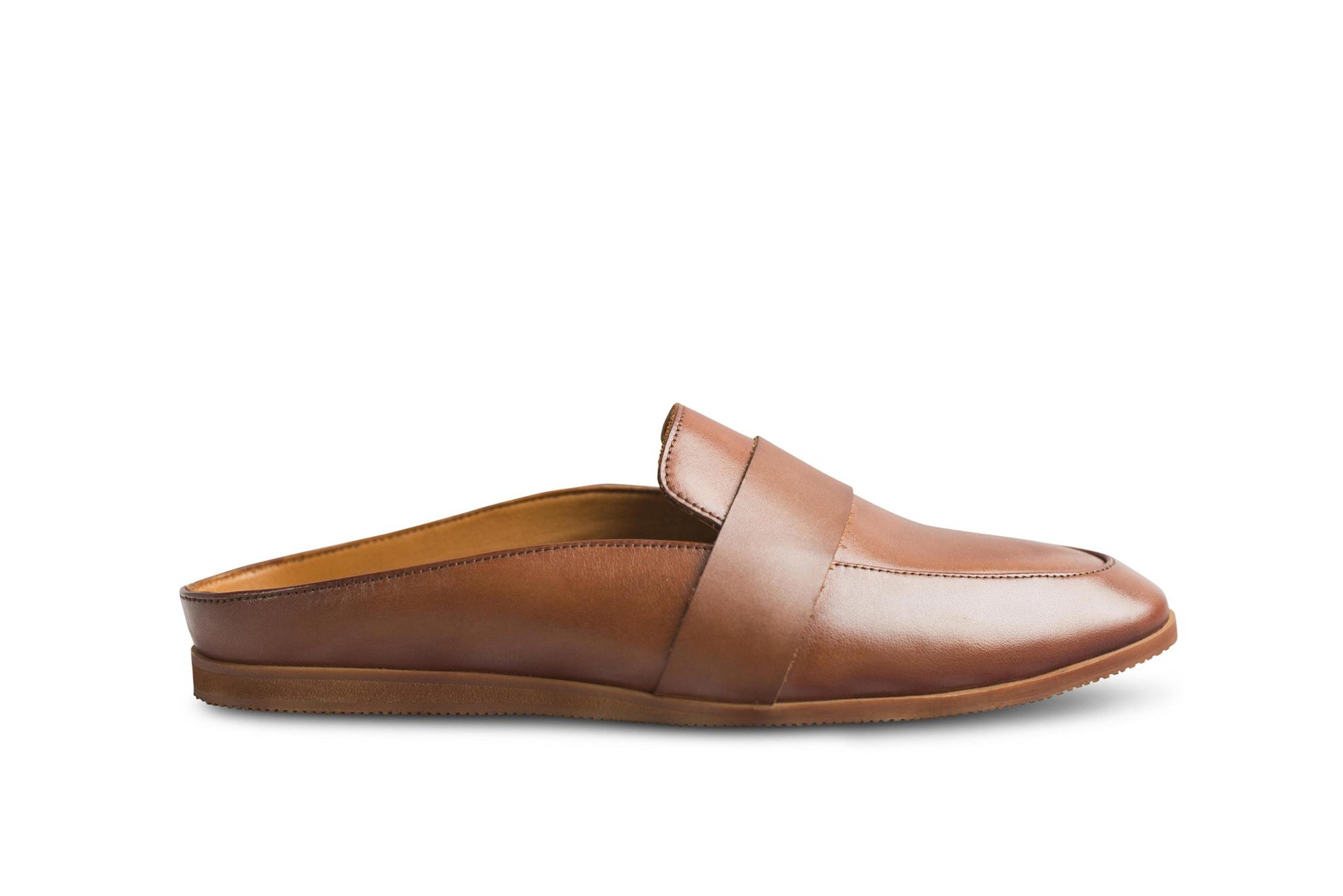 Hoffler Marrone - Ciceronidmodot