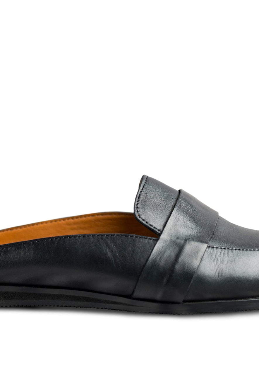 Hoffler Nera - Ciceronidmodot