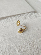 Kin - CiceroniRingsDE'ANMA