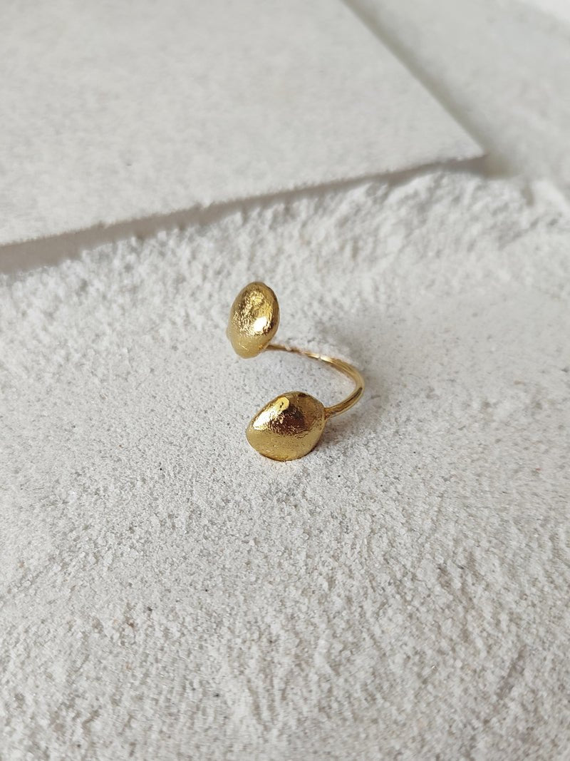 Kin - CiceroniRingsDE'ANMA