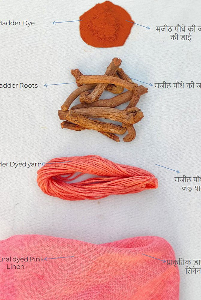 Linen Cami - CiceroniTopsSonica Sarna