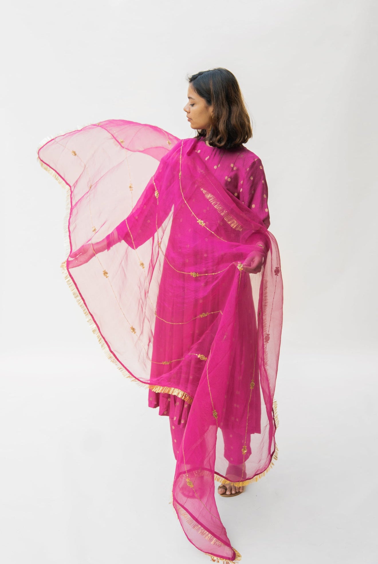 Magenta Adi Bel Odhani - CiceroniNirjara