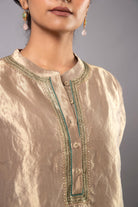 Meera Tissue Kurta Set - CiceroniKurta Set, Festive wearLabel Shreya Sharma