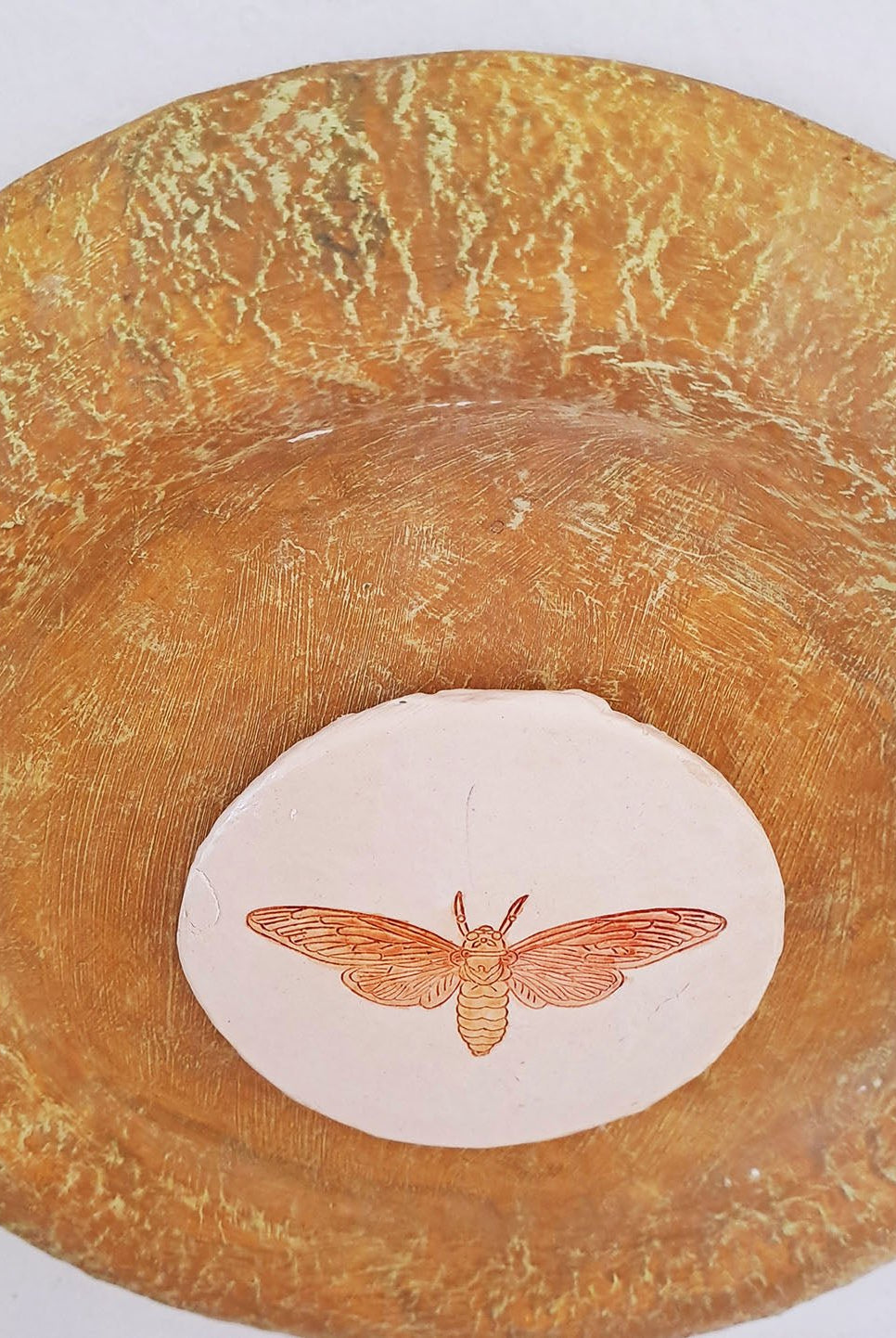 Moth Wall Plate - Ochre Yellow - CiceroniWall ArtAranya Earthcraft