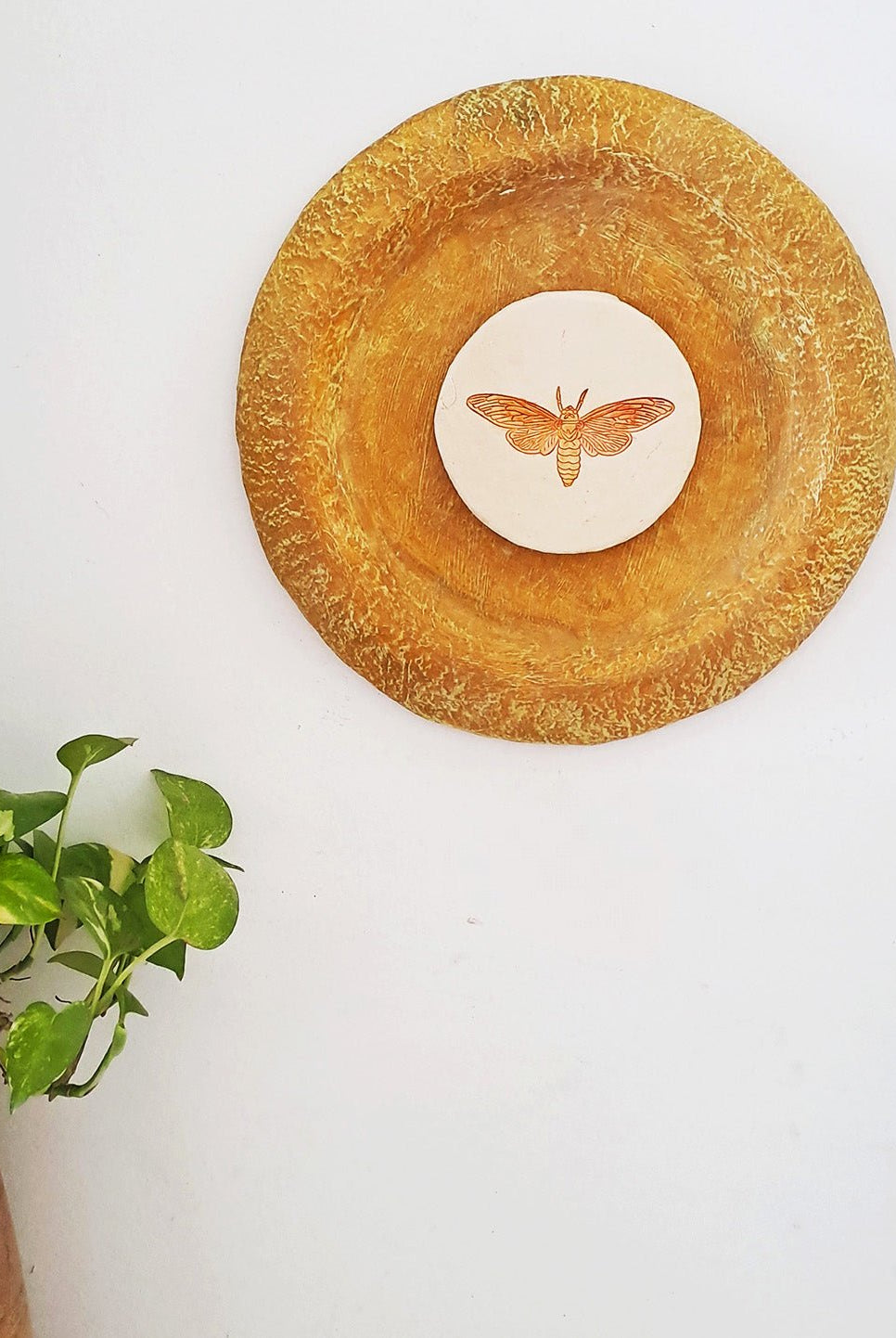 Moth Wall Plate - Ochre Yellow - CiceroniWall ArtAranya Earthcraft
