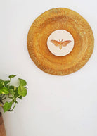 Moth Wall Plate - Ochre Yellow - CiceroniWall ArtAranya Earthcraft