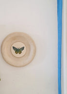 Moth Wall Plate - CiceroniWall ArtAranya Earthcraft