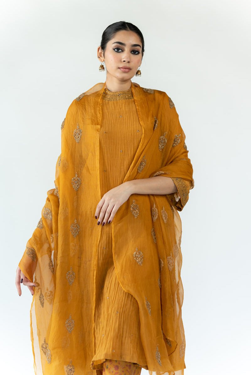 Mustard Nikhat Odhani - CiceroniOdhaniNirjara