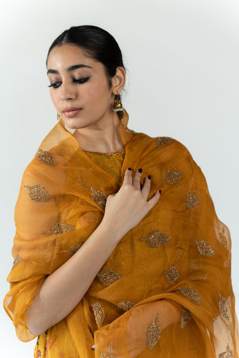 Mustard Nikhat Odhani - CiceroniOdhaniNirjara