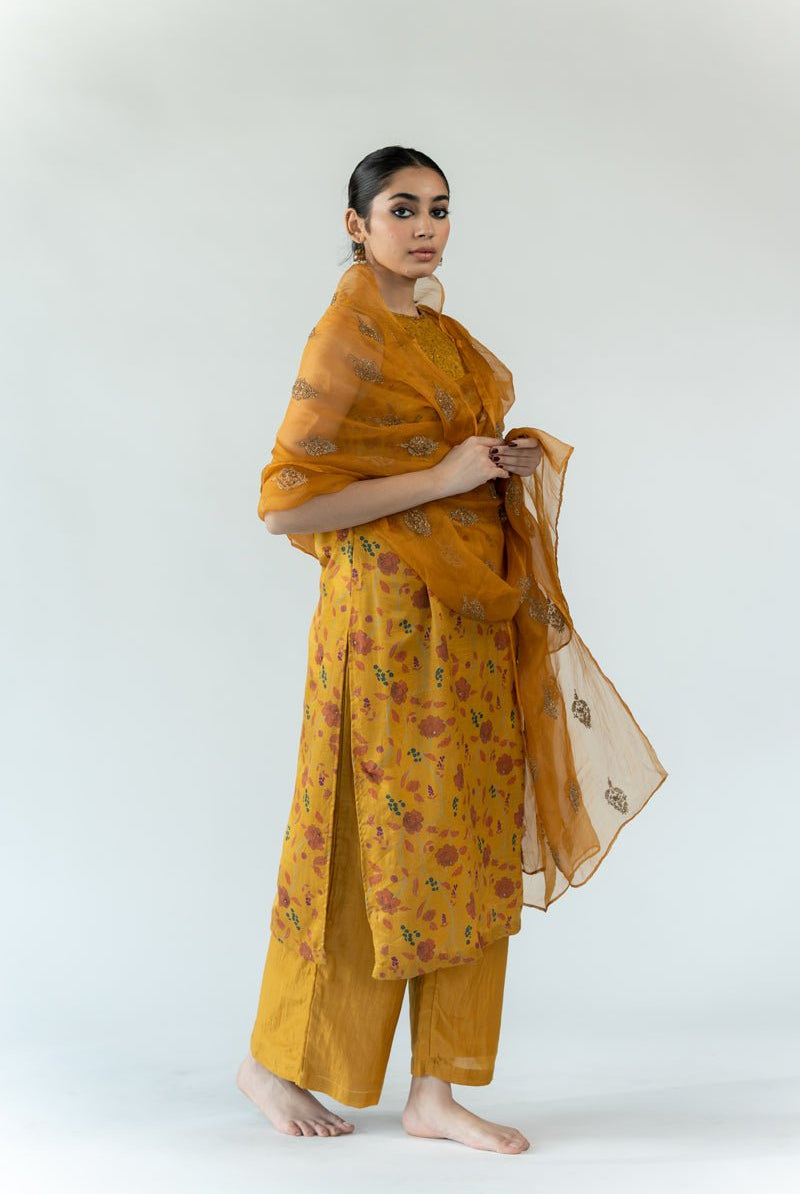 Mustard Nikhat Odhani - CiceroniOdhaniNirjara