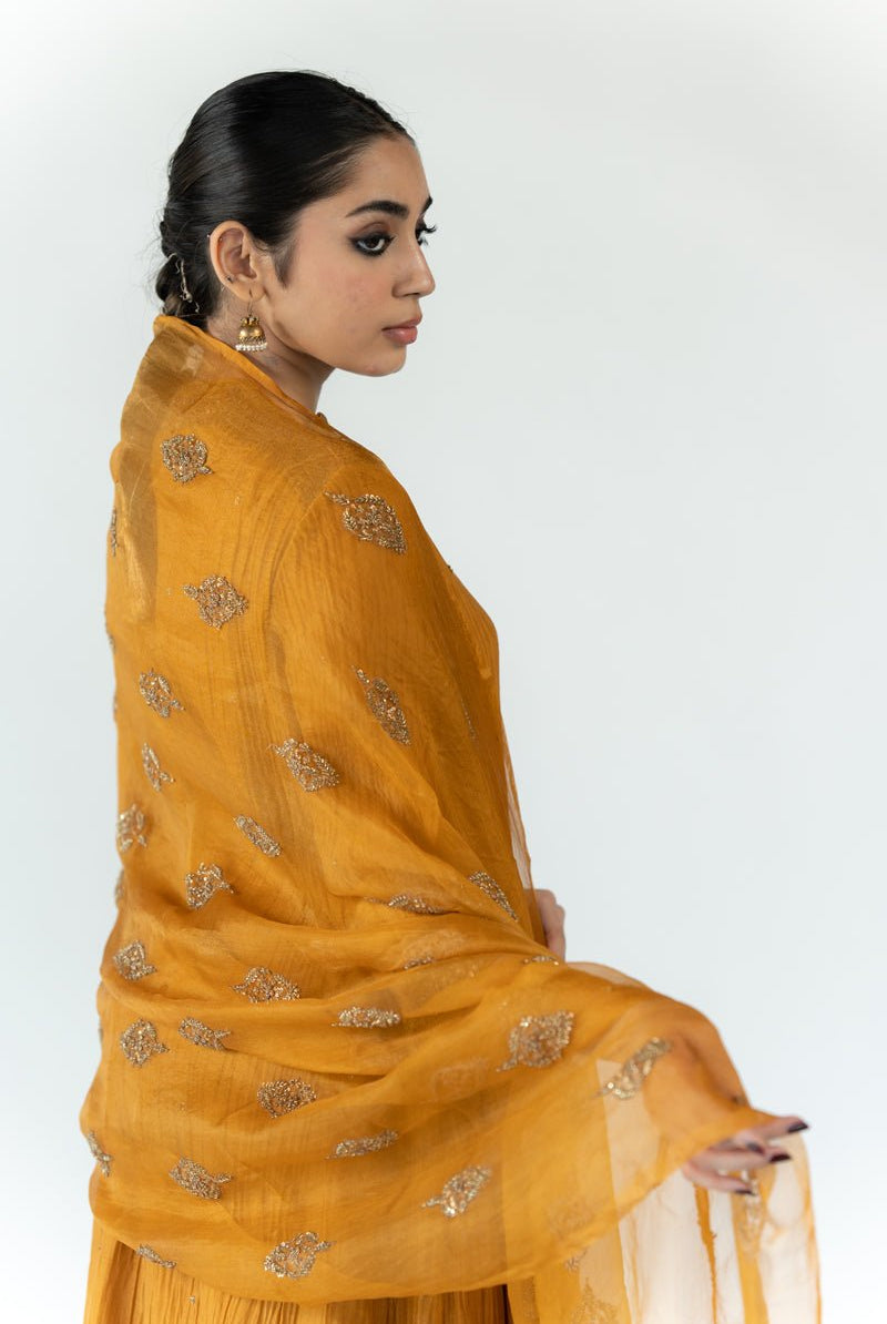Mustard Nikhat Odhani - CiceroniOdhaniNirjara