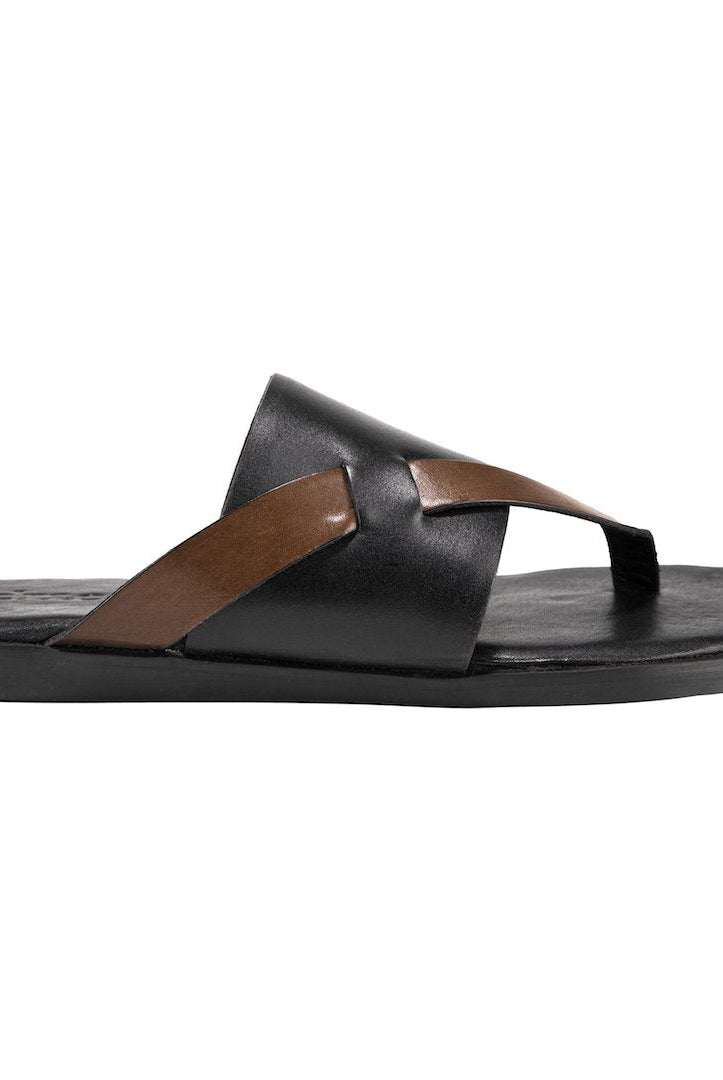 Pelle Boro - Ciceronidmodot