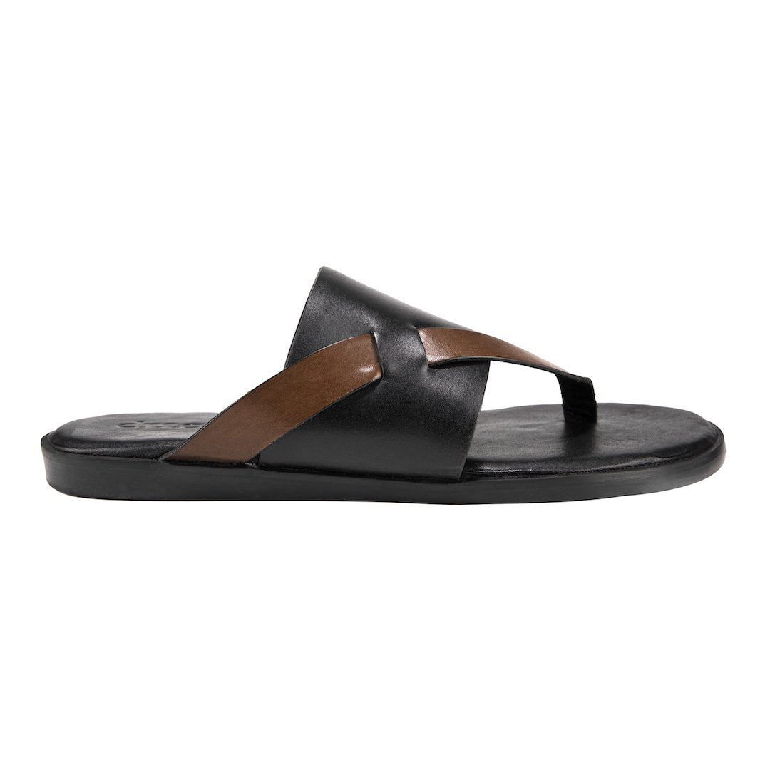 Pelle Boro - Ciceronidmodot