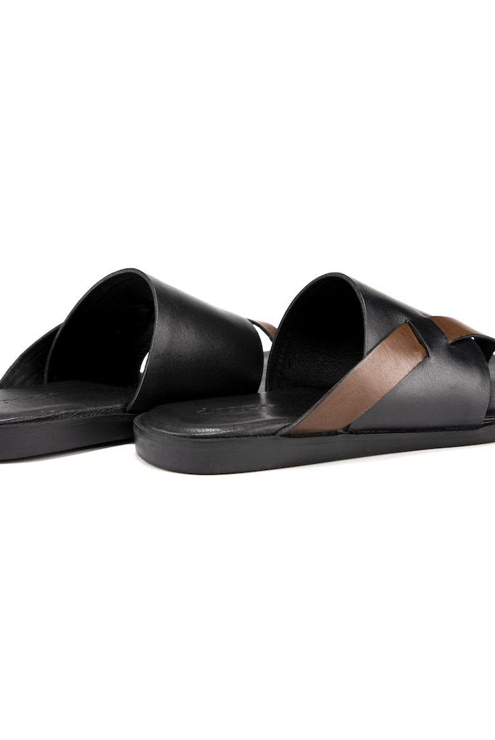 Pelle Boro - Ciceronidmodot