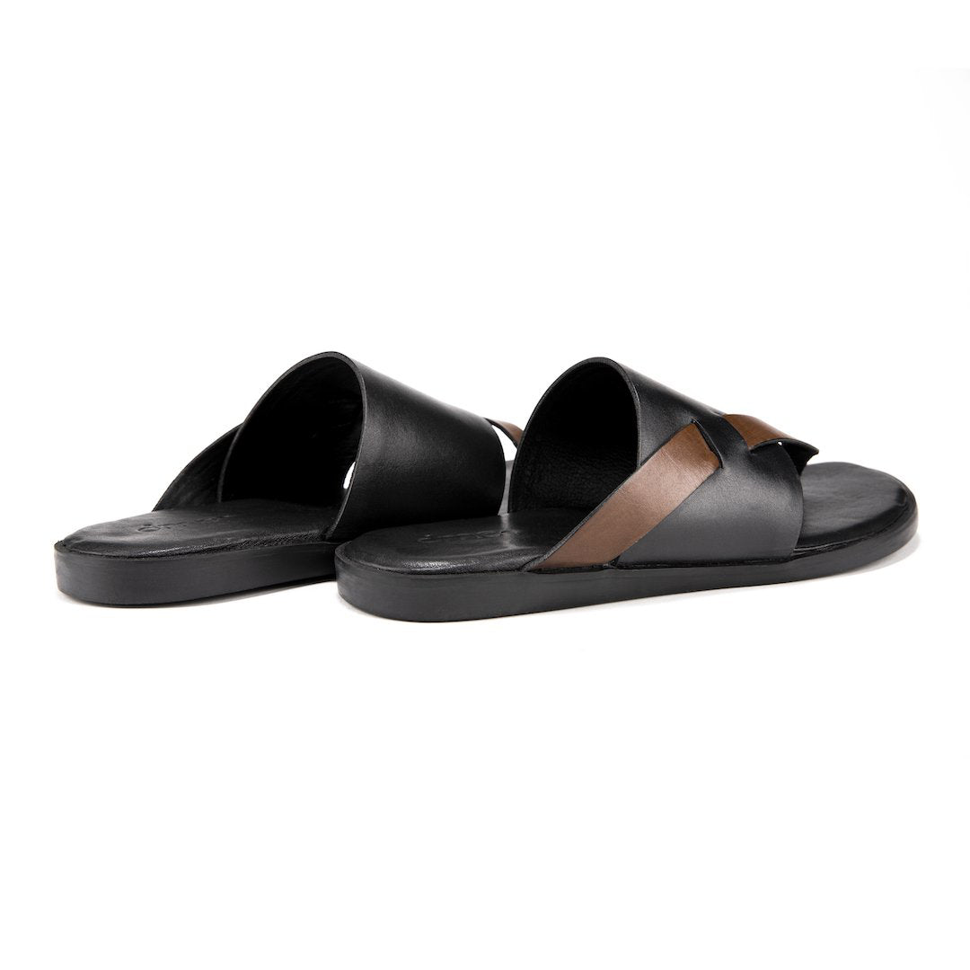 Pelle Boro - Ciceronidmodot