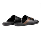 Pelle Boro - Ciceronidmodot