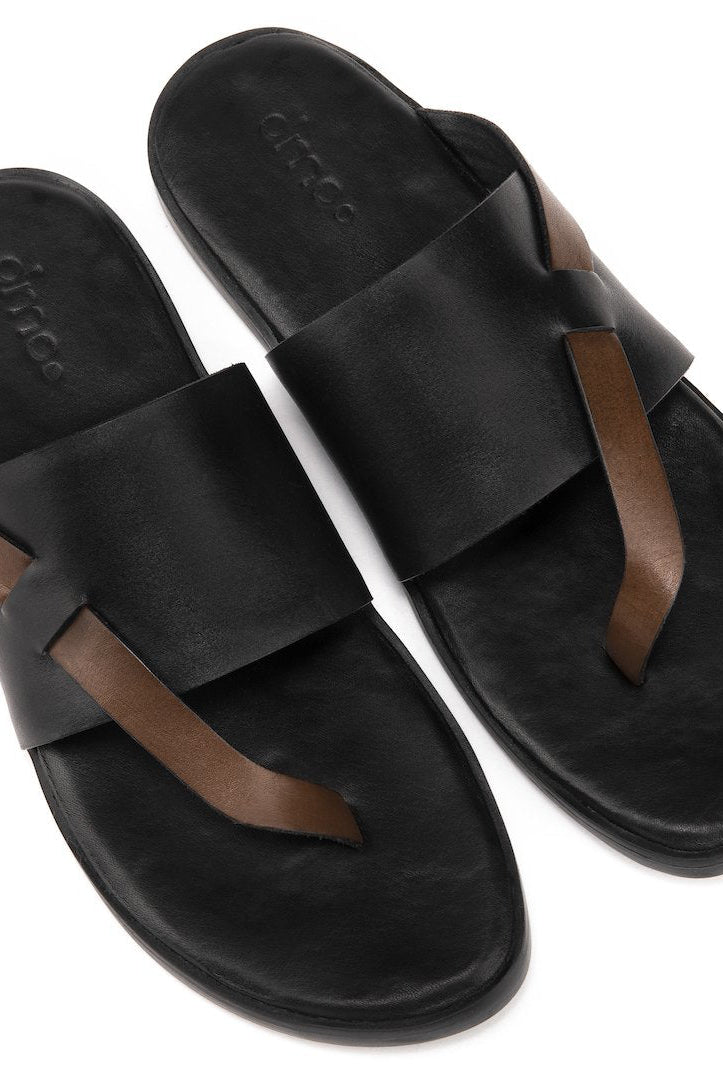 Pelle Boro - Ciceronidmodot