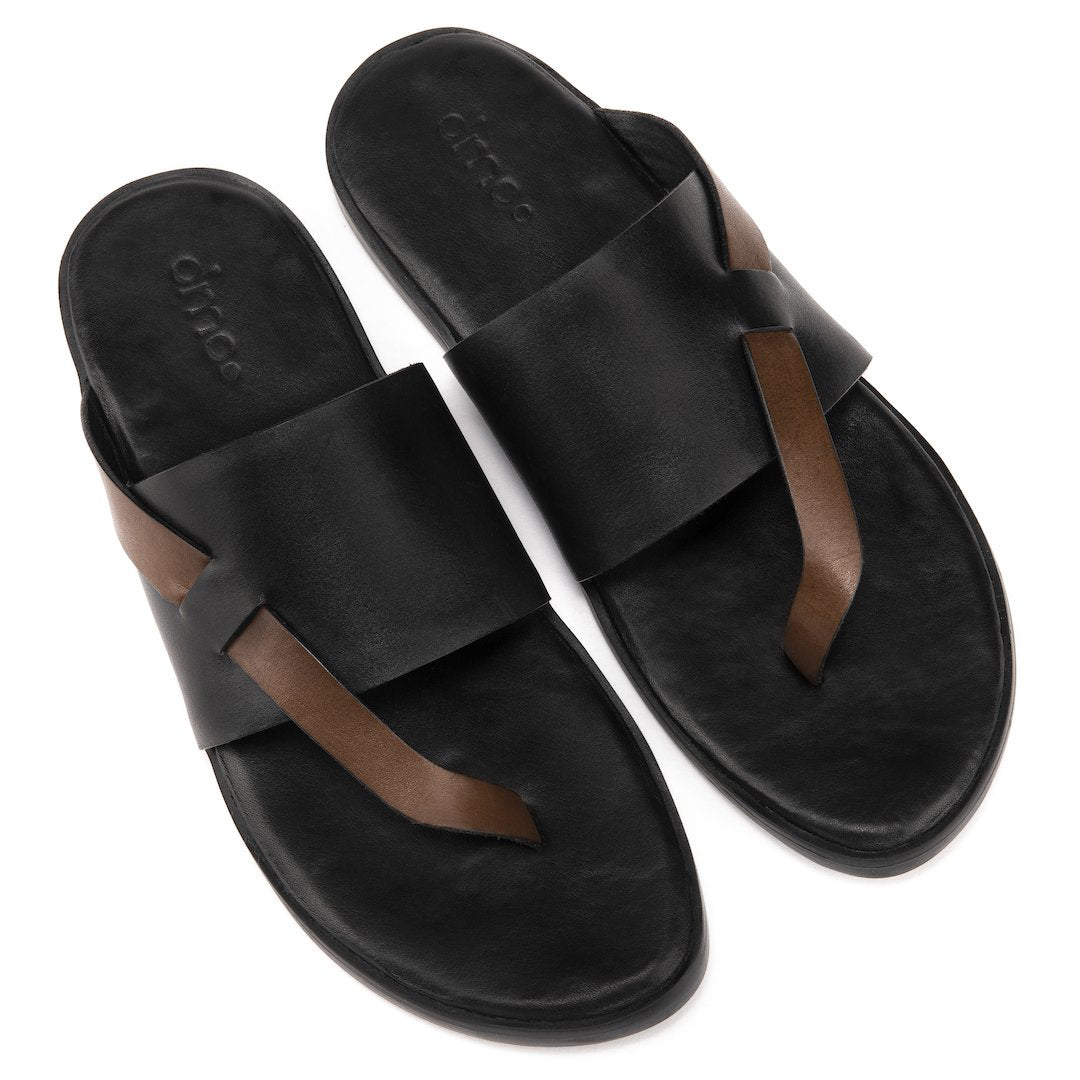 Pelle Boro - Ciceronidmodot