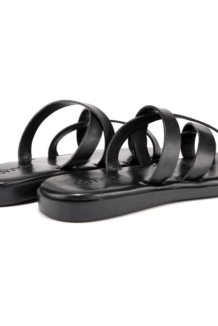 Pelle Carbonio - Ciceronidmodot