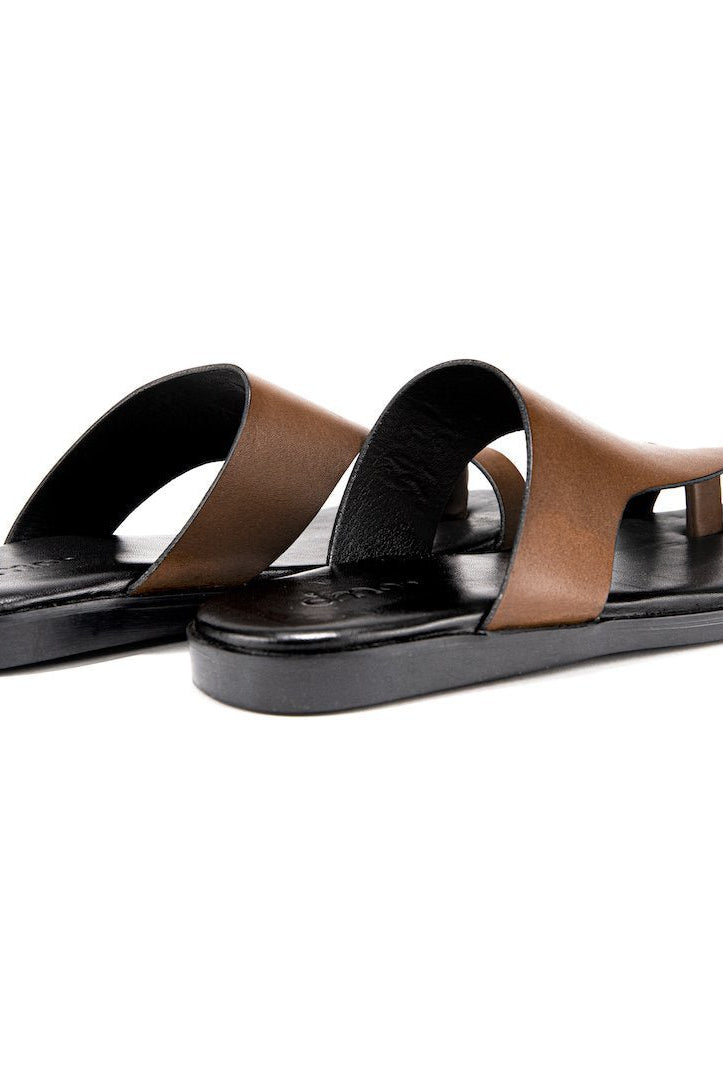 Pelle Castano - Ciceronidmodot