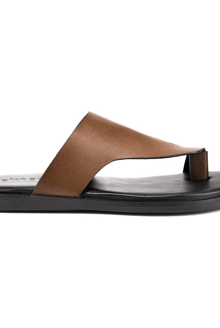 Pelle Castano - Ciceronidmodot