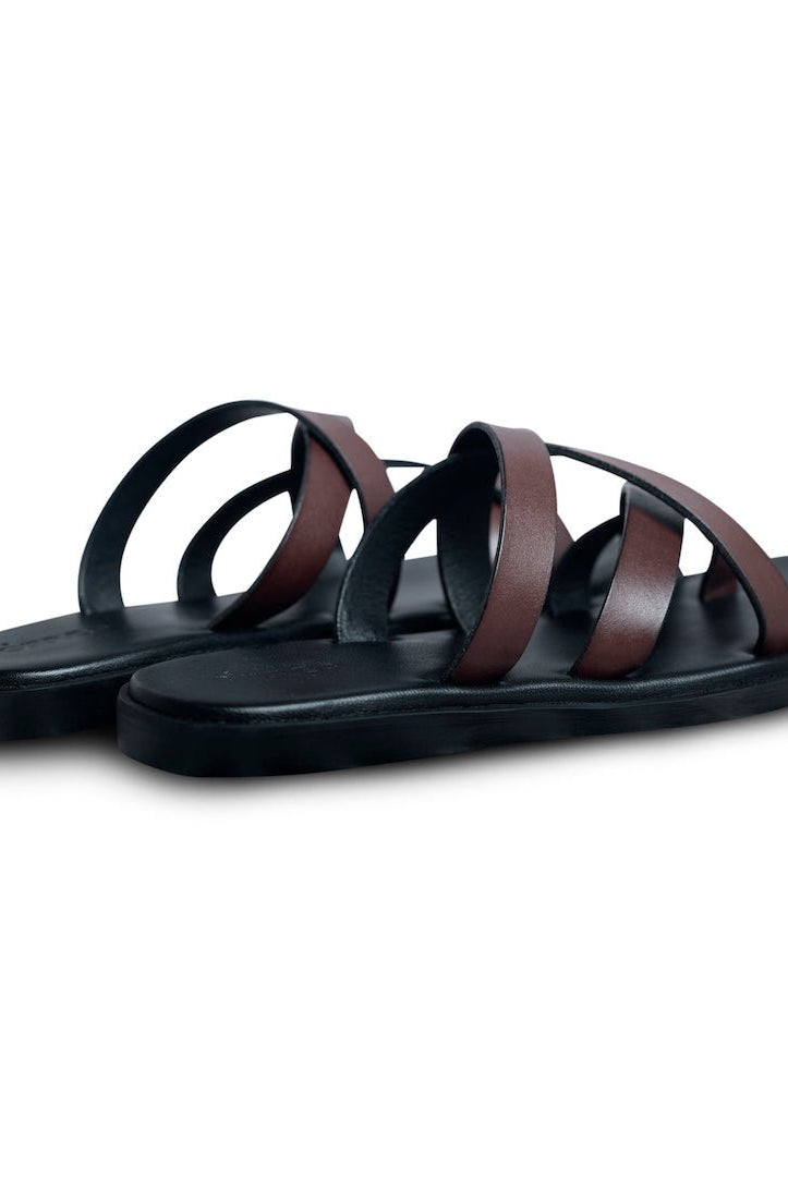 Pelle Cherno Marrone - Ciceronidmodot