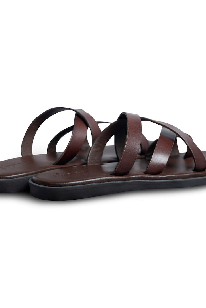 Pelle Chocro - Ciceronidmodot