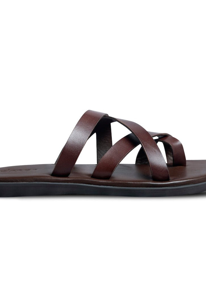 Pelle Chocro - Ciceronidmodot