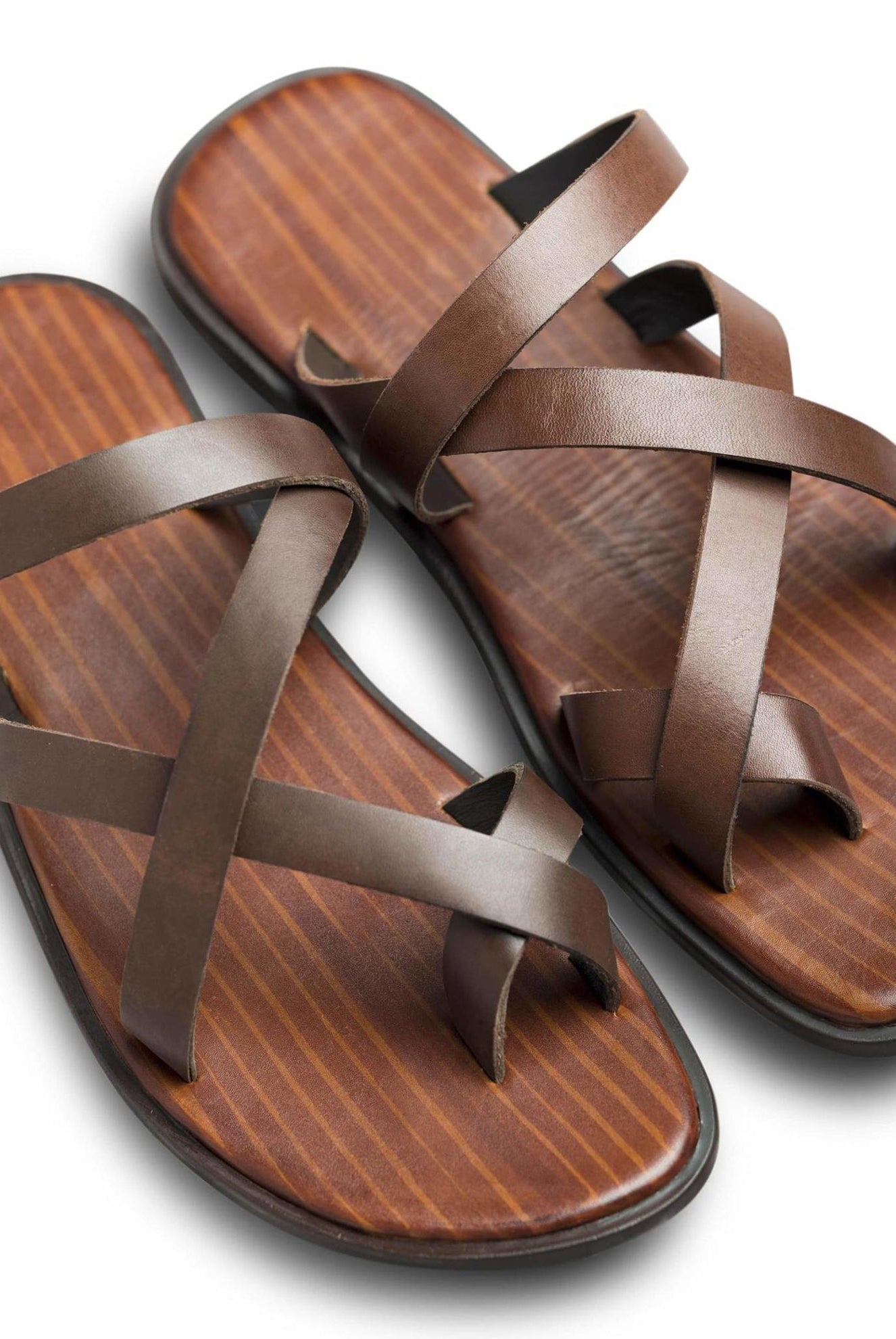 Pelle Marrone - Ciceronidmodot