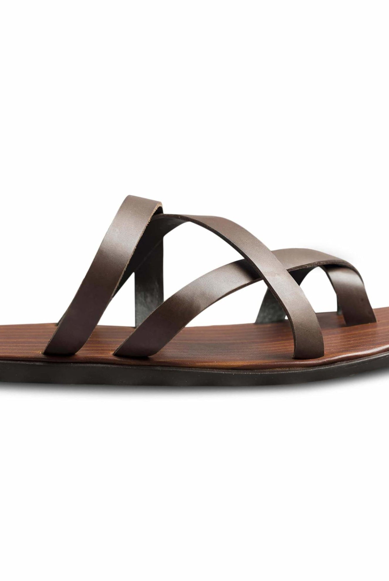 Pelle Marrone - Ciceronidmodot