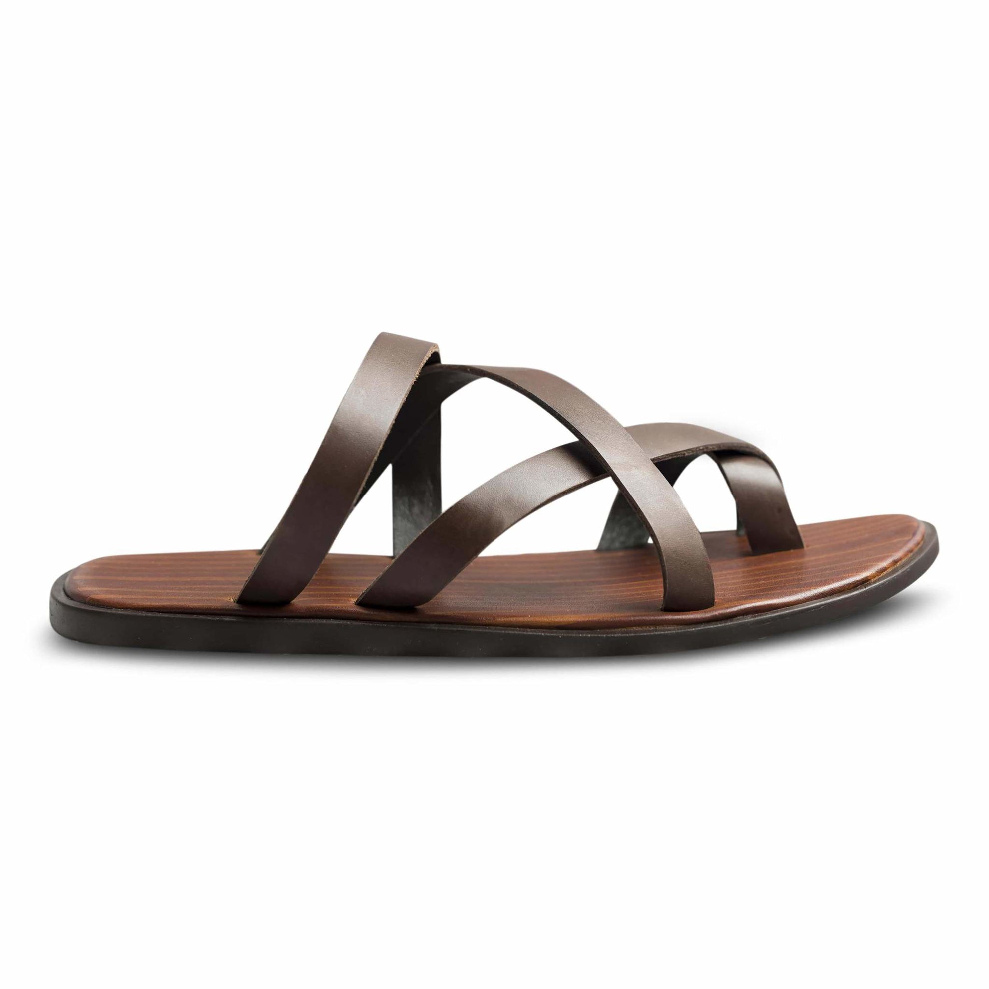 Pelle Marrone - Ciceronidmodot