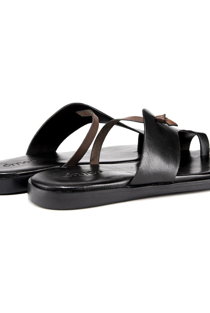 Pelle Mino - Ciceronidmodot