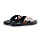 Pelle Tobo - Ciceronidmodot