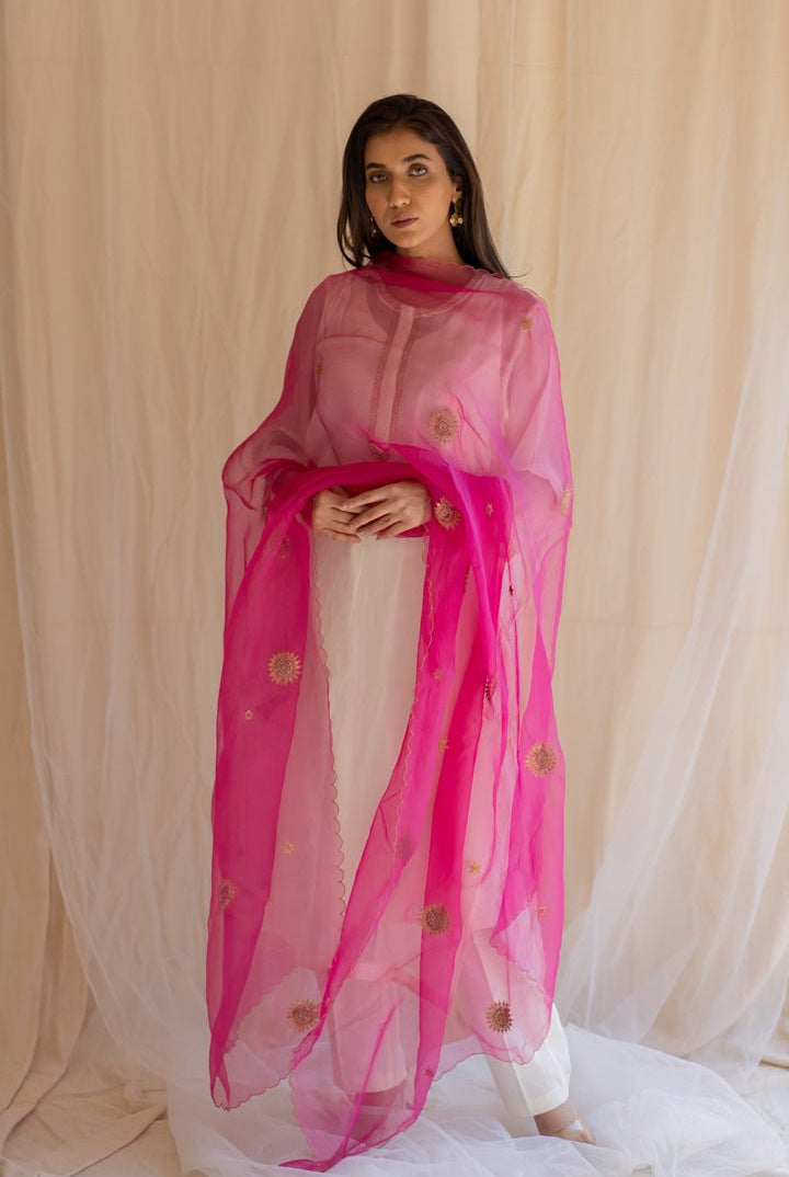 Rani Pink Panch Pankhiya Odhani - CiceroniNirjara