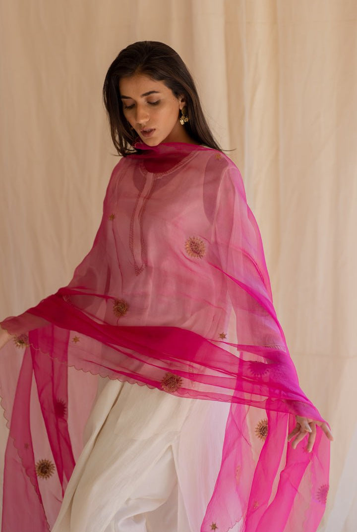 Rani Pink Panch Pankhiya Odhani - CiceroniNirjara