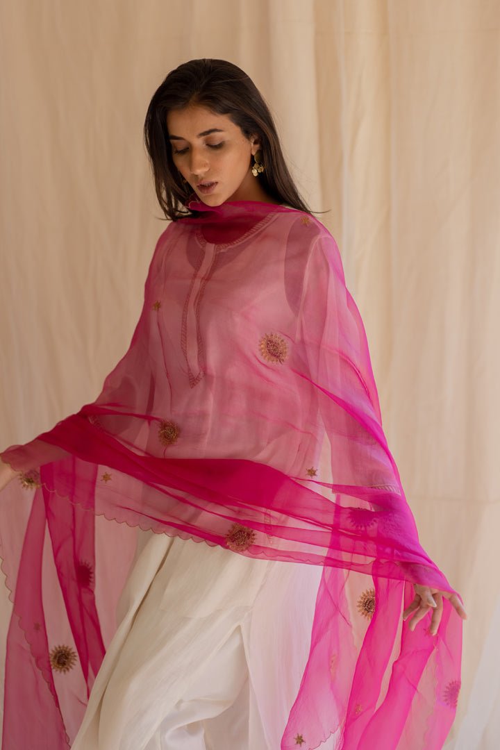 Rani Pink Panch Pankhiya Odhani - CiceroniNirjara