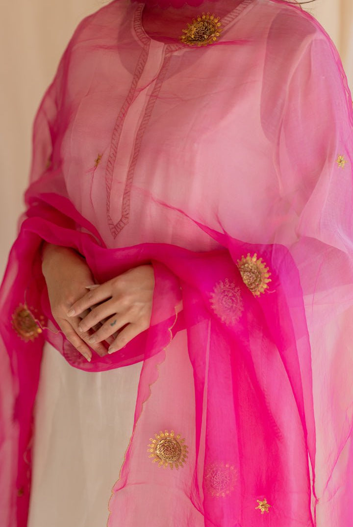Rani Pink Panch Pankhiya Odhani - CiceroniNirjara