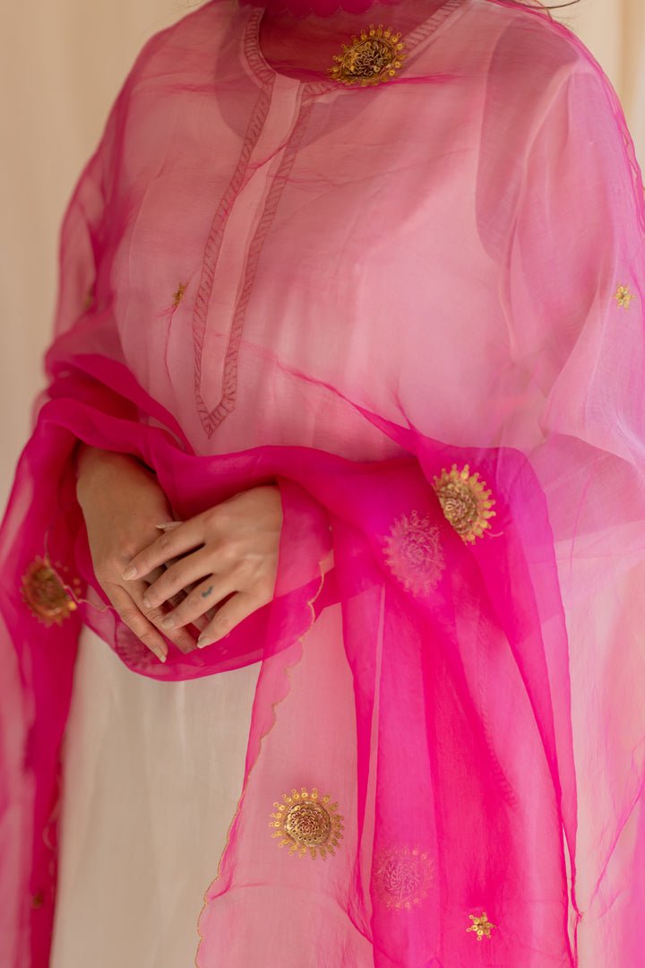 Rani Pink Panch Pankhiya Odhani - CiceroniNirjara