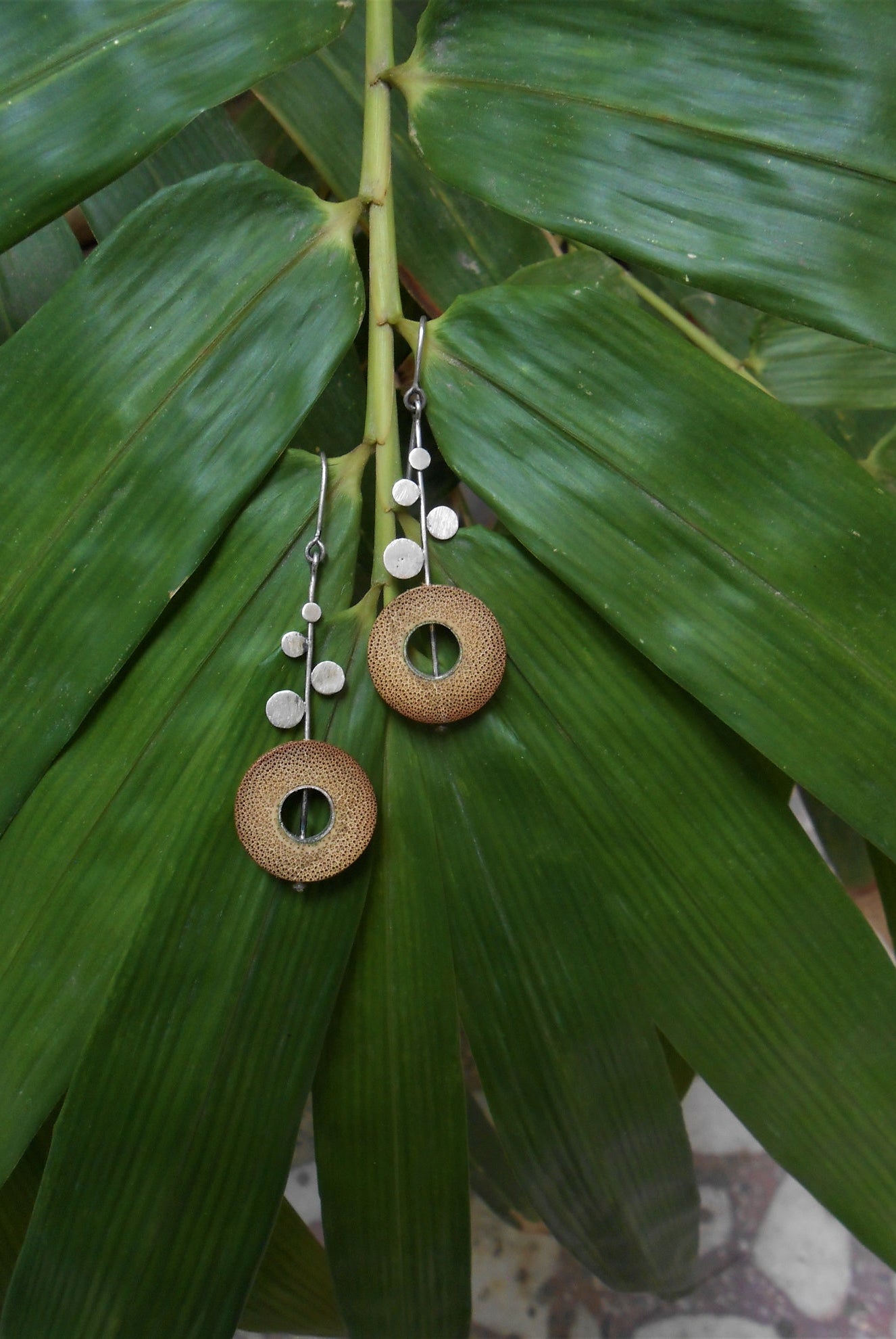 RHEA Silver Dot Rise - CiceroniBaka