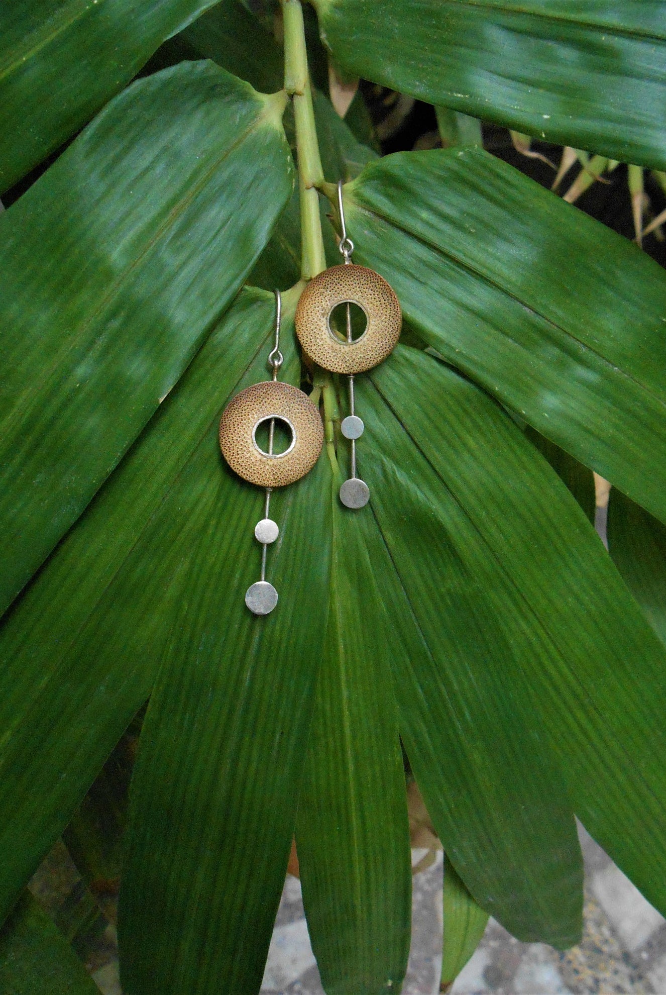 RHEA Silver Two Dot - CiceroniBaka