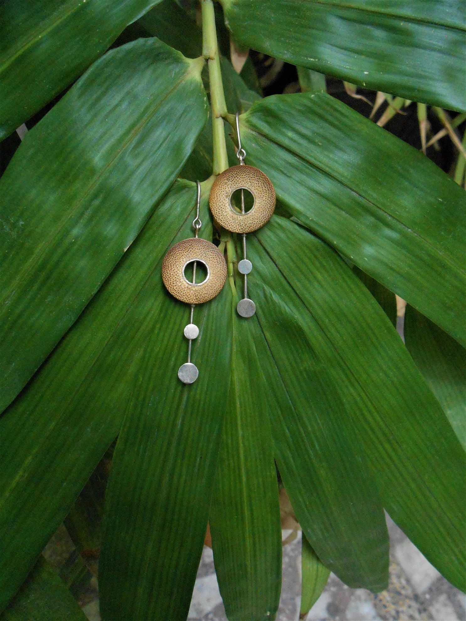 RHEA Silver Two Dot - CiceroniBaka