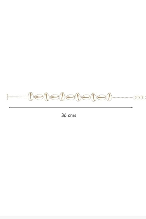 Shell Choker - CiceroniChokerStudio Kassa