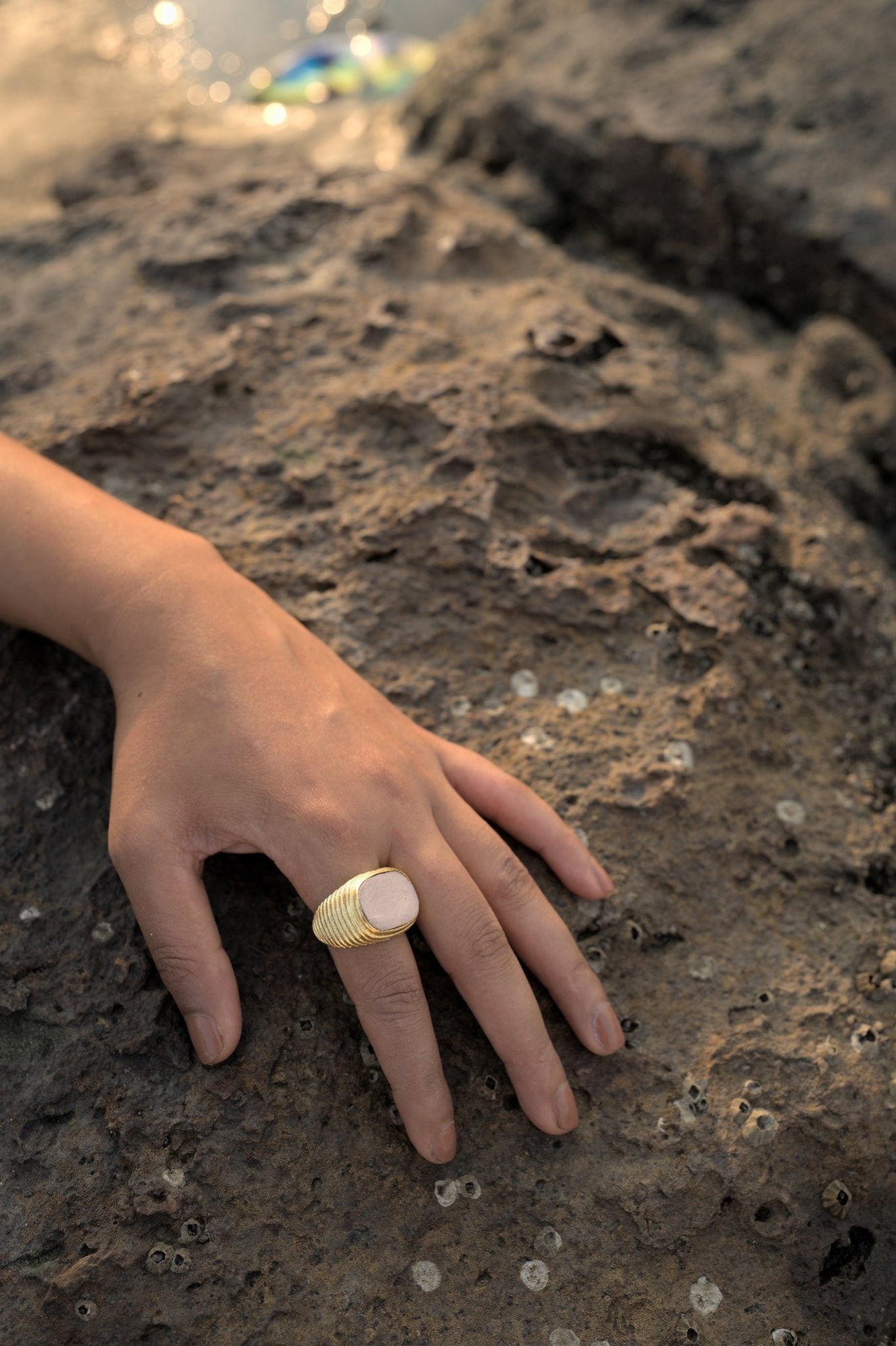 Signet Ring - CiceroniRingsNoupelle