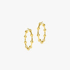 Symphony Hoops - CiceroniEarringsEquiivalence