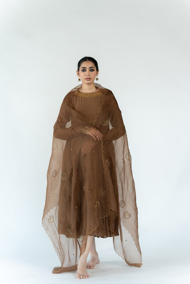 Vintage Brown Chaand Odhani - CiceroniOdhaniNirjara