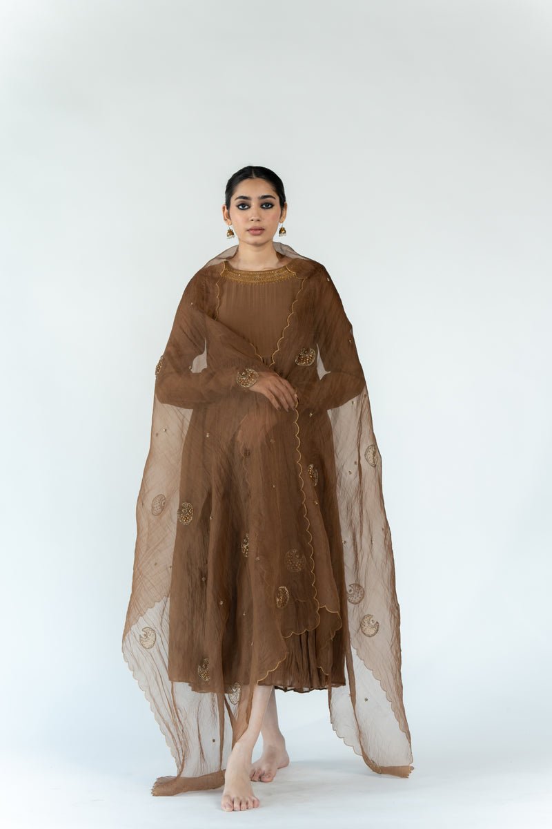 Vintage Brown Chaand Odhani - CiceroniOdhaniNirjara